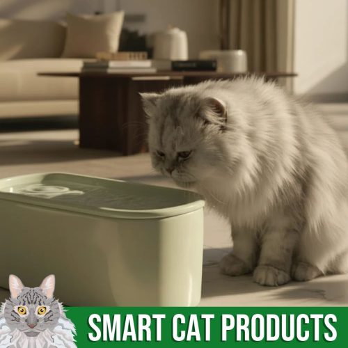 Smart Cat Products