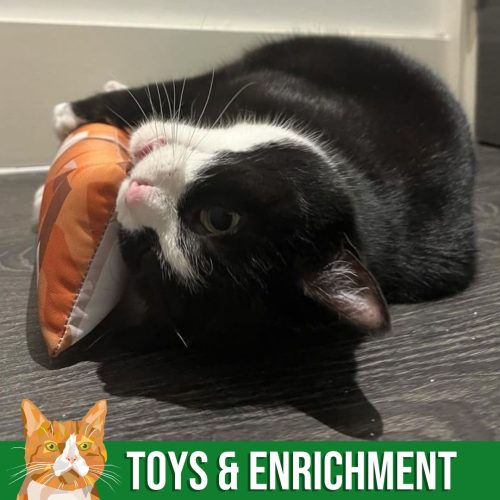 Toys & Enrichment
