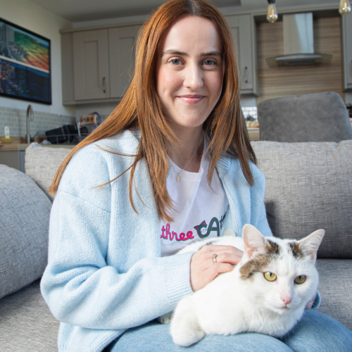 My Three Cats Cat Sitting Service